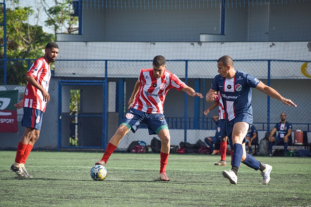 排名與格局 排名與格局