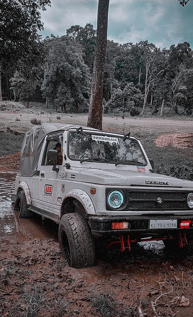 善体育设施 善体育设施